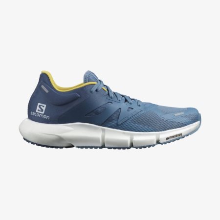 Salomon PREDICT 2 Mens Running Shoes Blue | Salomon South Africa